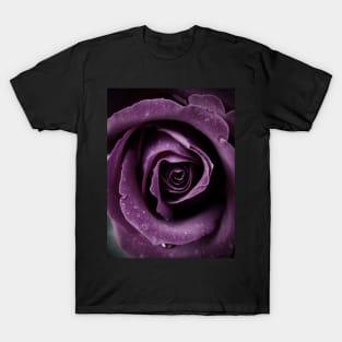 Purple Rose V T-Shirt